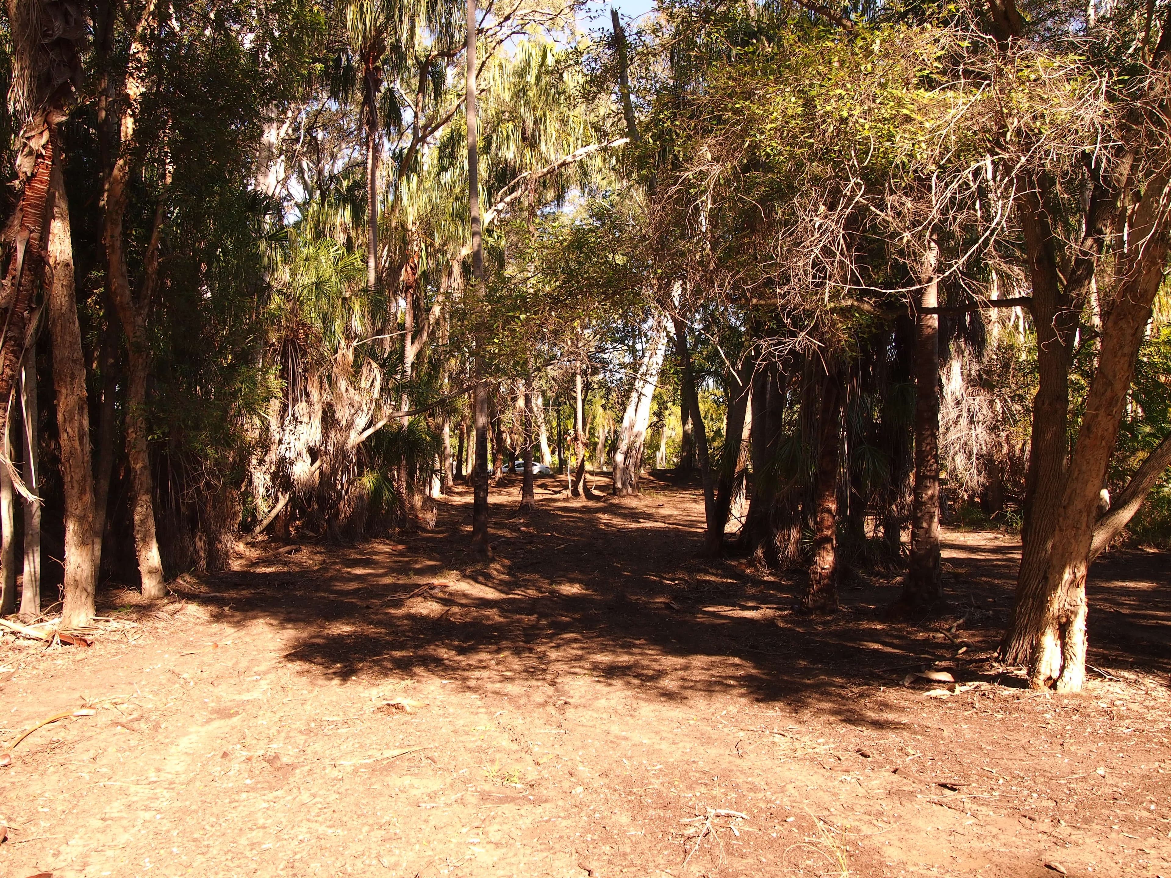 16 Palmwood Drive, Dundowran Beach QLD 4655, Dundowran Beach - Thumbnail 5
