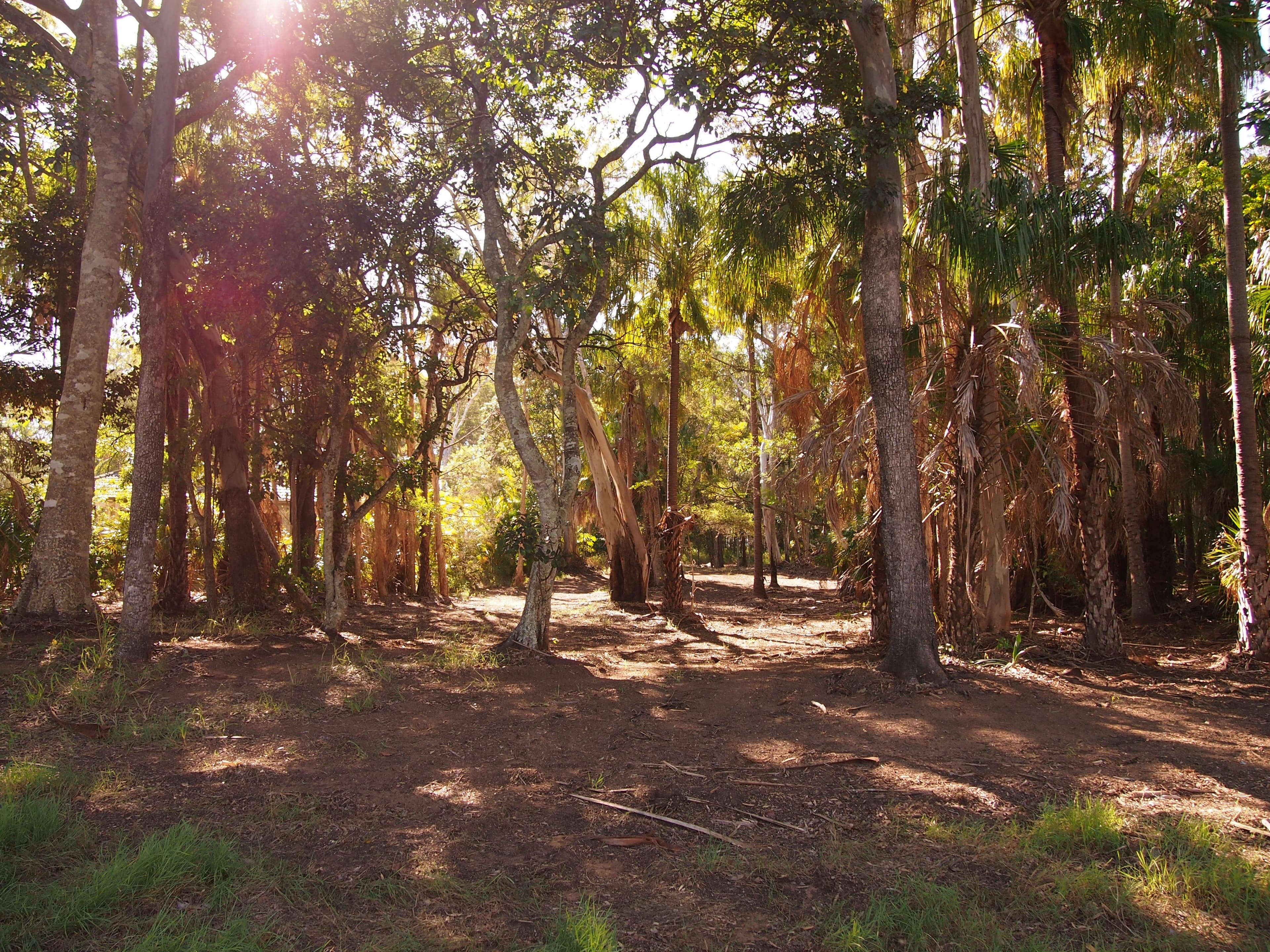 16 Palmwood Drive, Dundowran Beach QLD 4655, Dundowran Beach - Thumbnail 7
