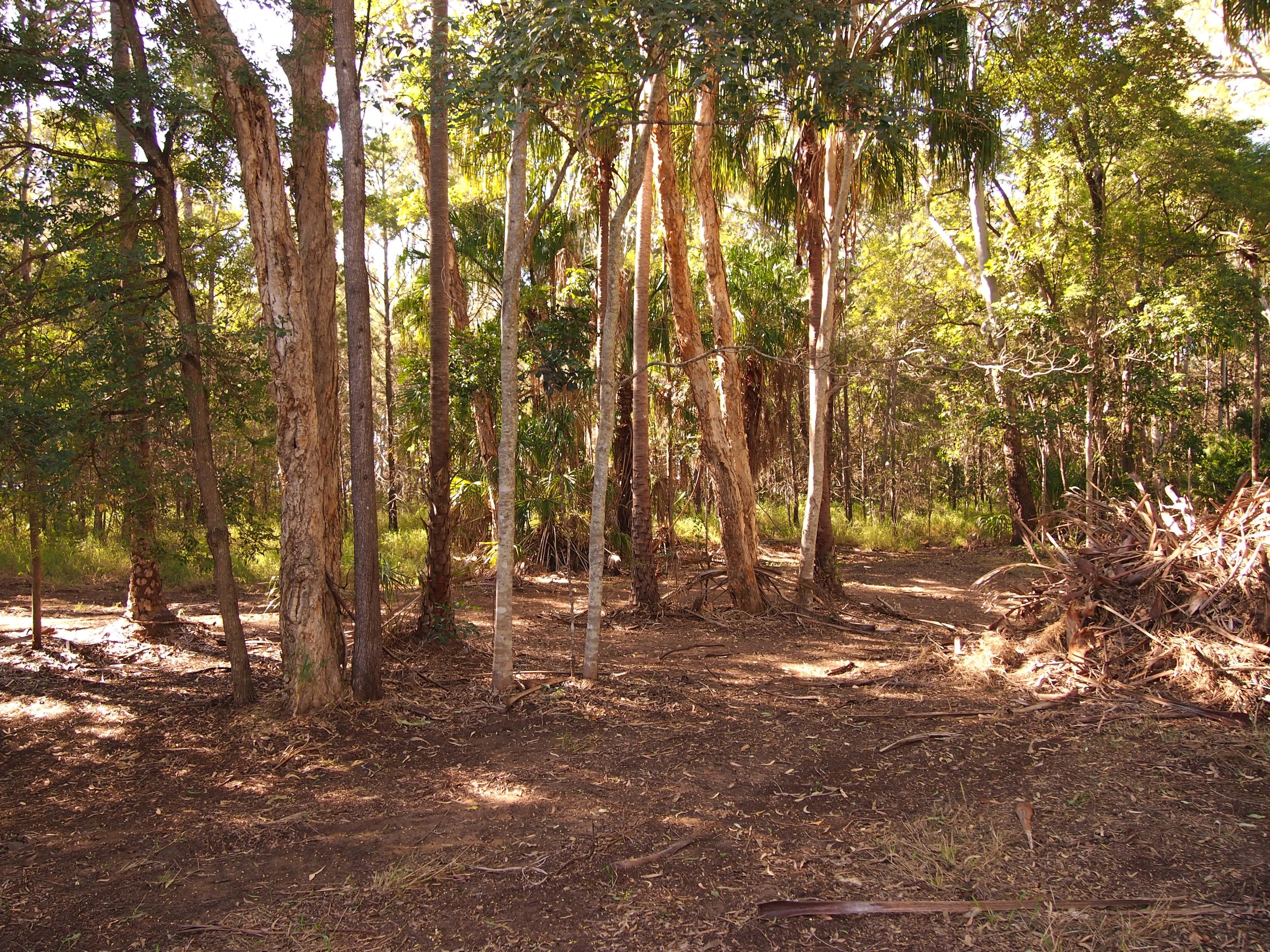 16 Palmwood Drive, Dundowran Beach QLD 4655, Dundowran Beach - Thumbnail 8
