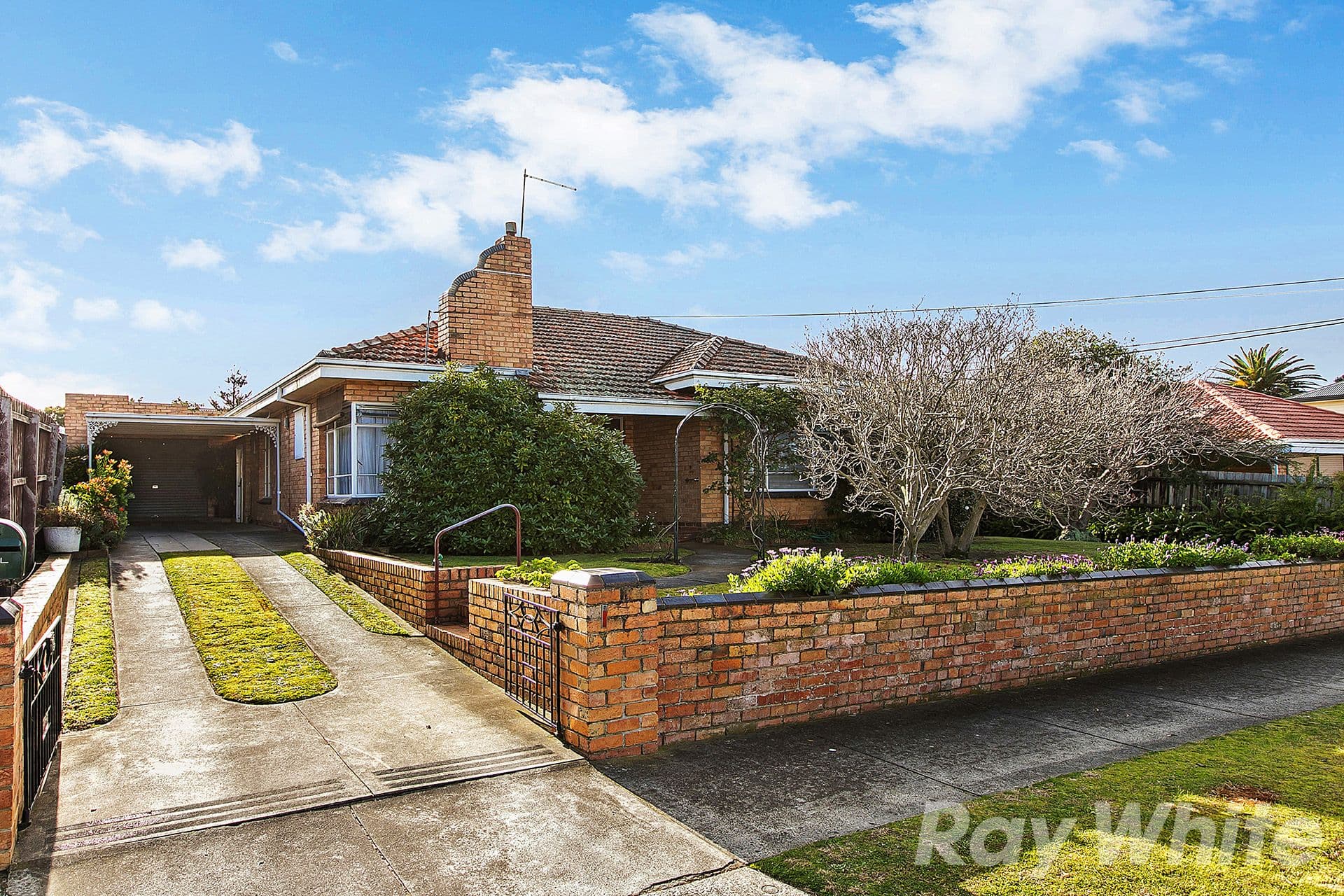 29 Neville Street, Mentone VIC 3194, Mentone - Image 1
