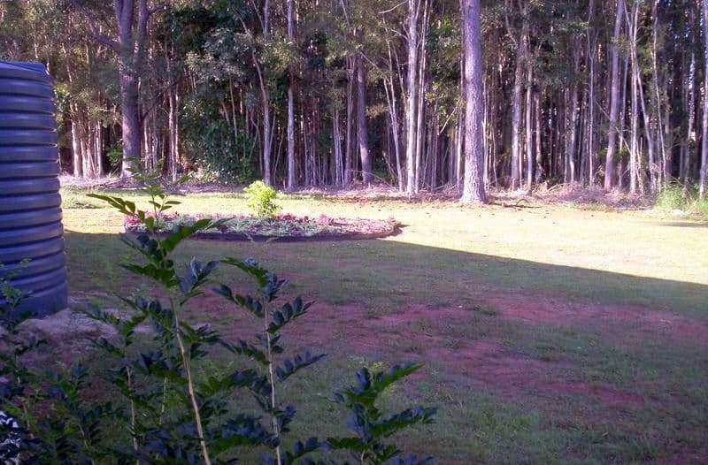 14 Douglas Street, RUSSELL ISLAND QLD 4184, Russell Island - Thumbnail 4