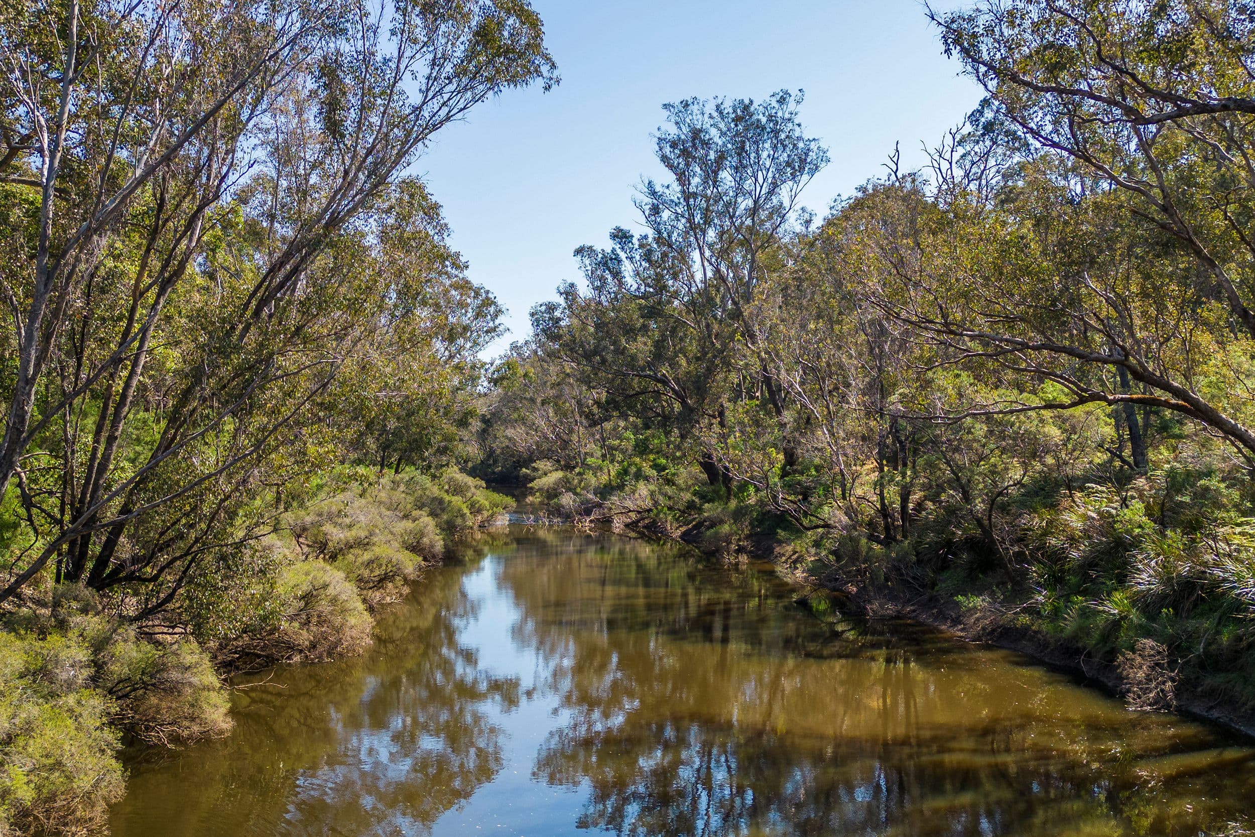 8 Orchid Place, Nannup WA 6275, Nannup - Thumbnail 2