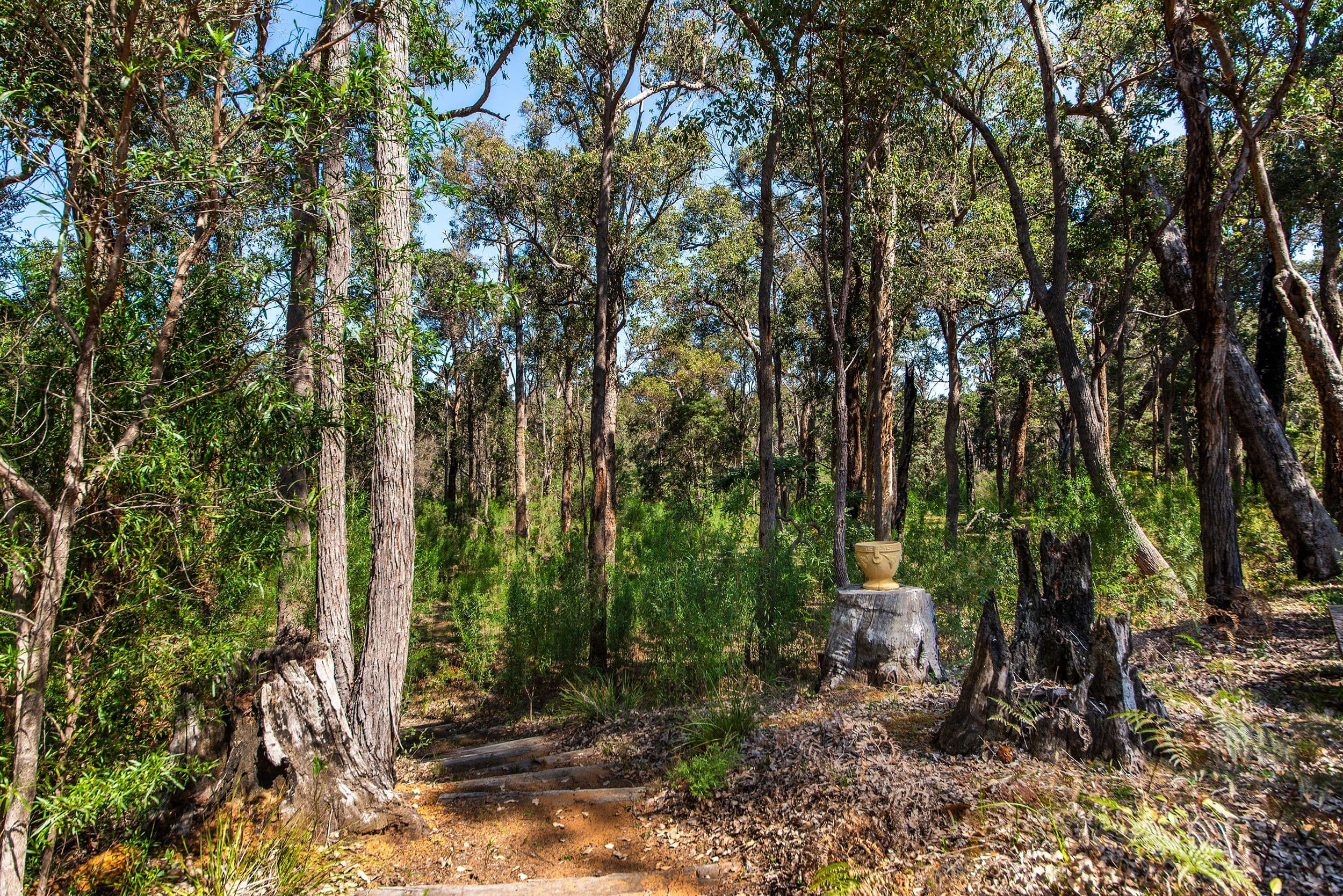 8 Orchid Place, Nannup WA 6275, Nannup - Thumbnail 4