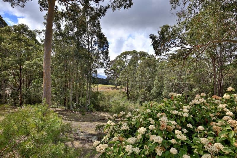 699 Illaroo Road, Tapitallee - Thumbnail 8