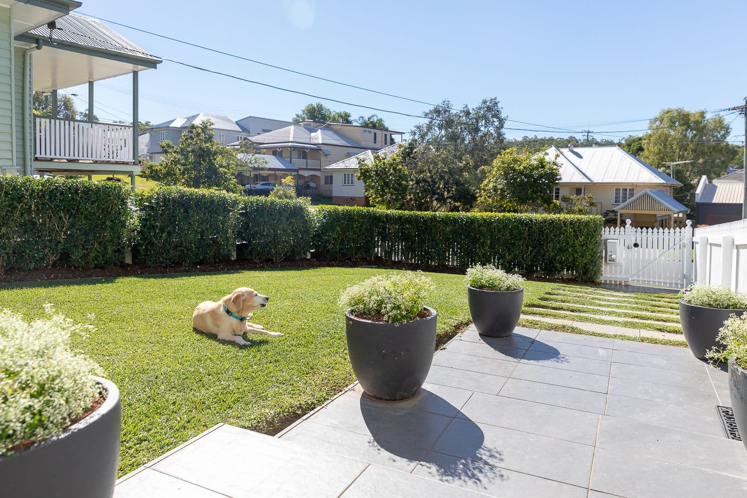 139 Sirius Street, Coorparoo QLD 4151, Coorparoo - Thumbnail 2