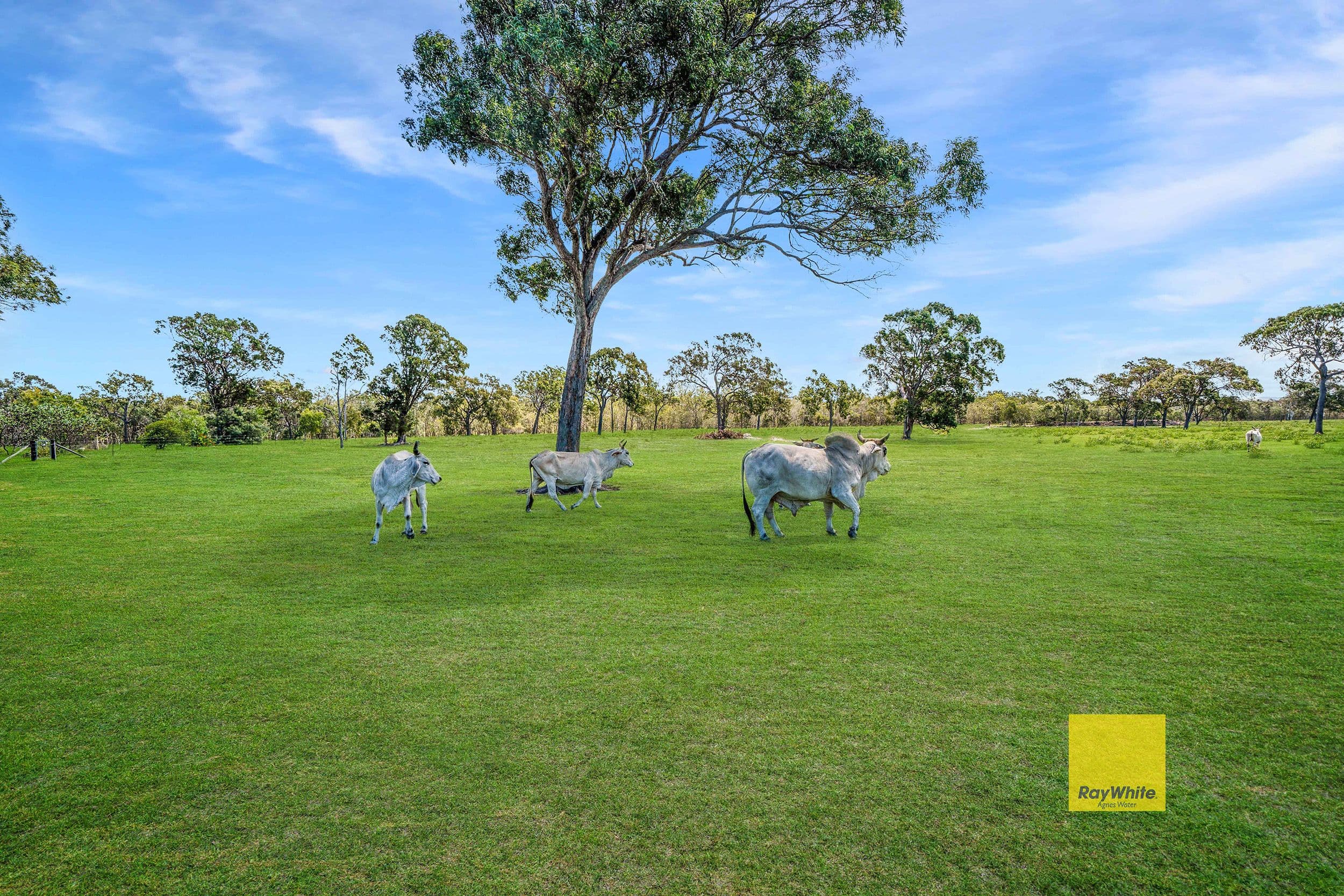 2361 Round Hill Road, Round Hill QLD 4677, Round Hill - Thumbnail 6