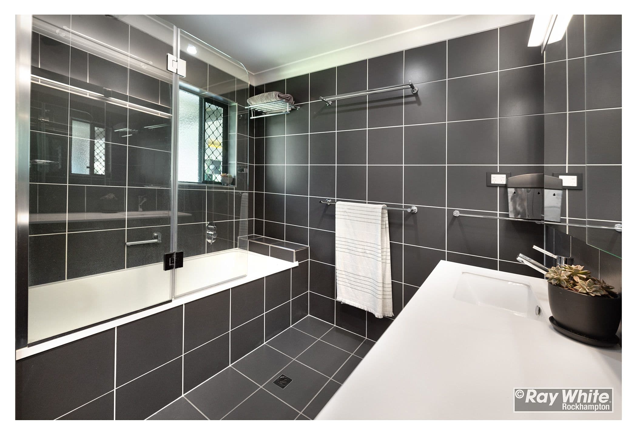 12 McRae Place, Frenchville QLD 4701, Frenchville - Thumbnail 6