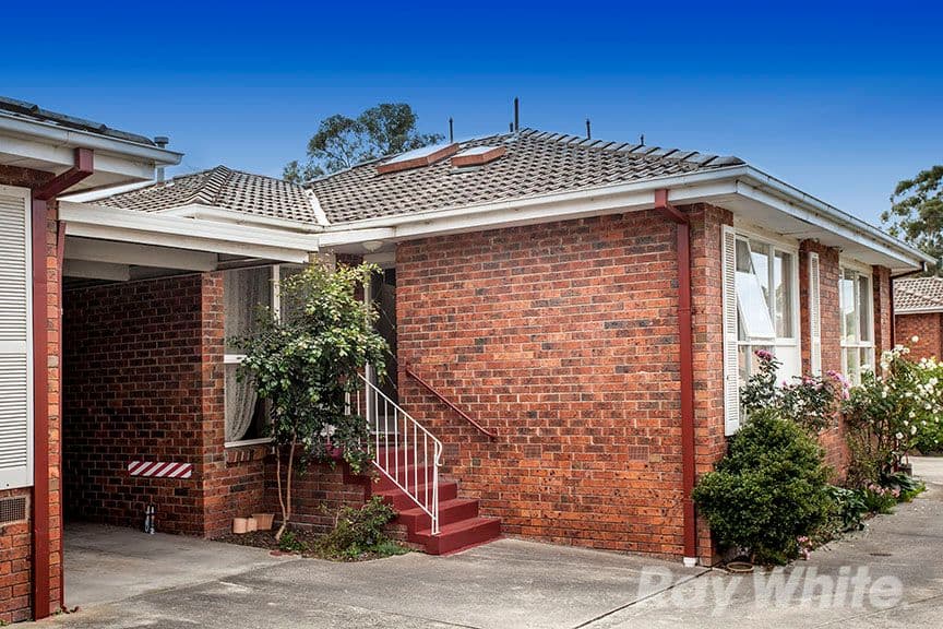 91 Ringwood Street, Ringwood VIC 3134, Ringwood - Thumbnail 3