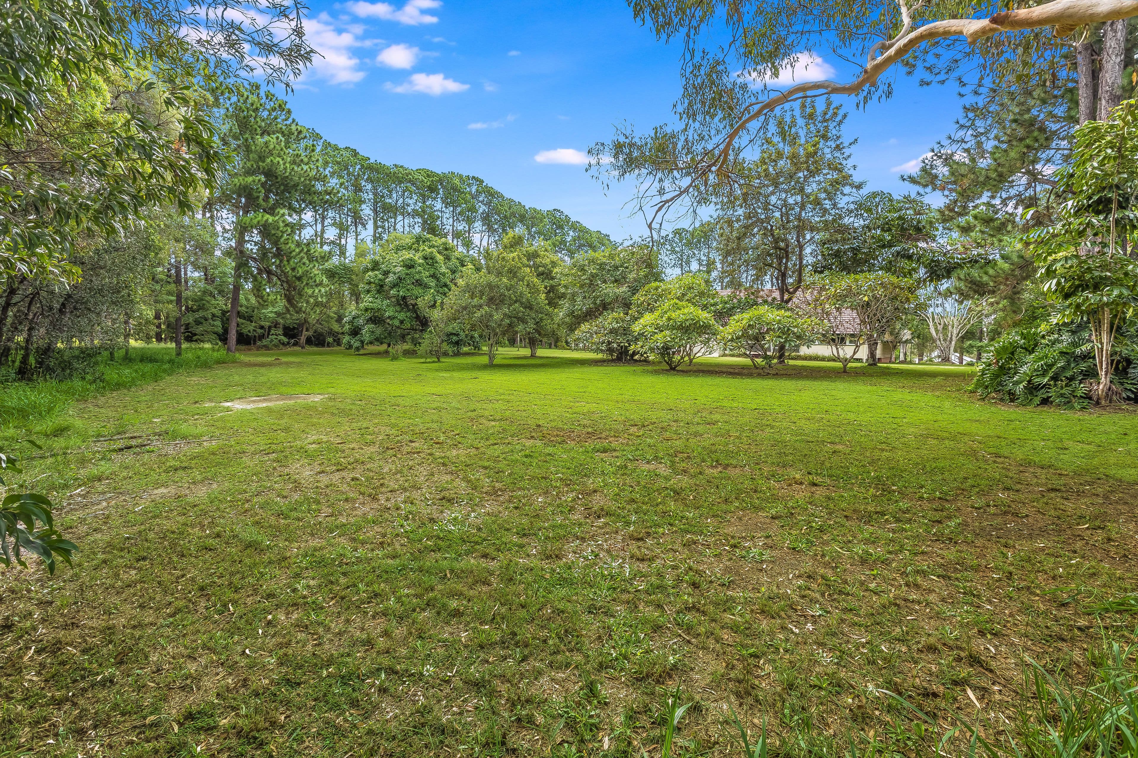 191 Callaghan Road, Narangba QLD 4504, Narangba - Thumbnail 4
