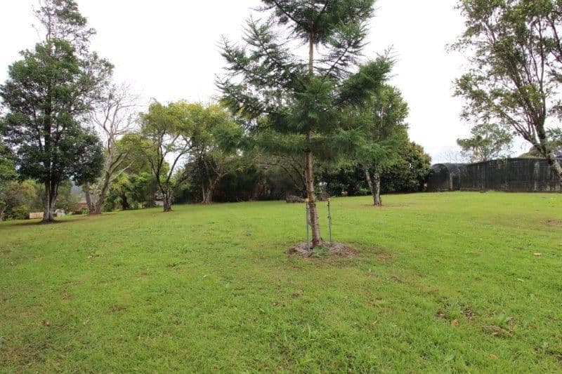 141 Invercauld Road, Goonellabah NSW 2480, Goonellabah - Thumbnail 6