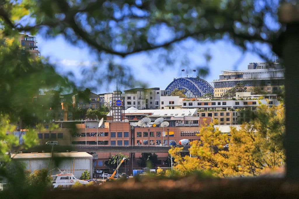 25 Avon Street, GLEBE NSW 2037, Glebe - Thumbnail 5
