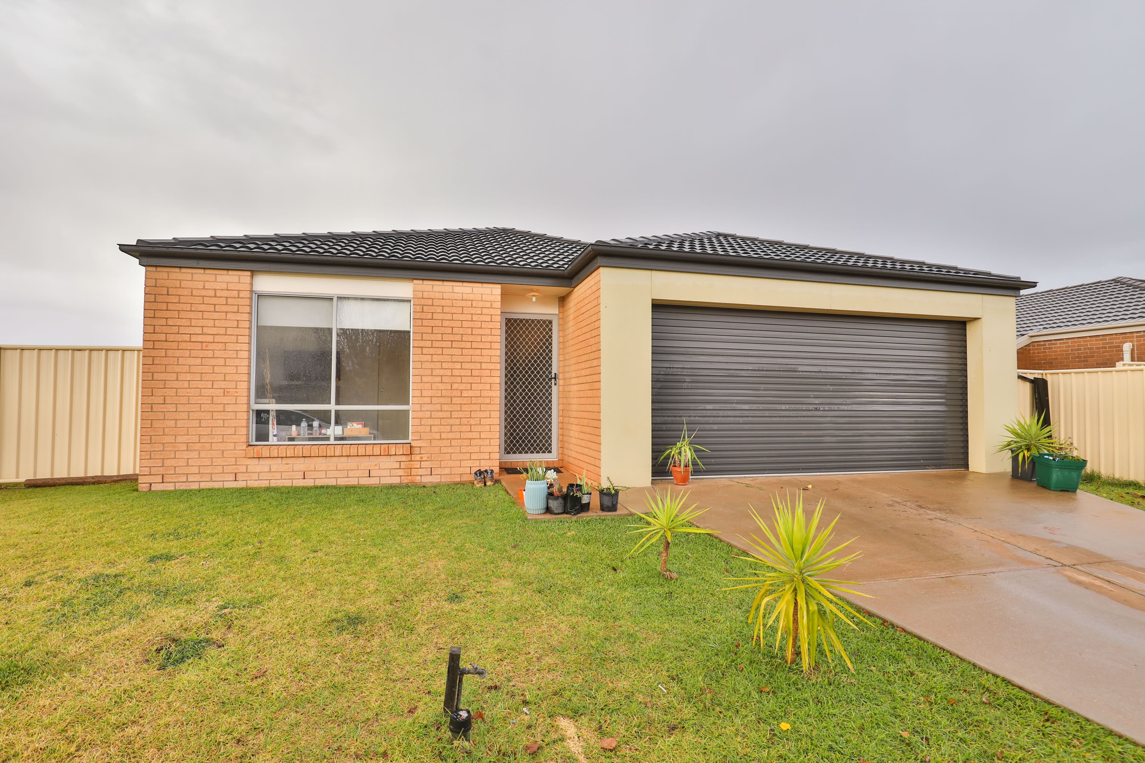 16 Immacolata Rise, Red Cliffs VIC 3496, Red Cliffs - Image 1