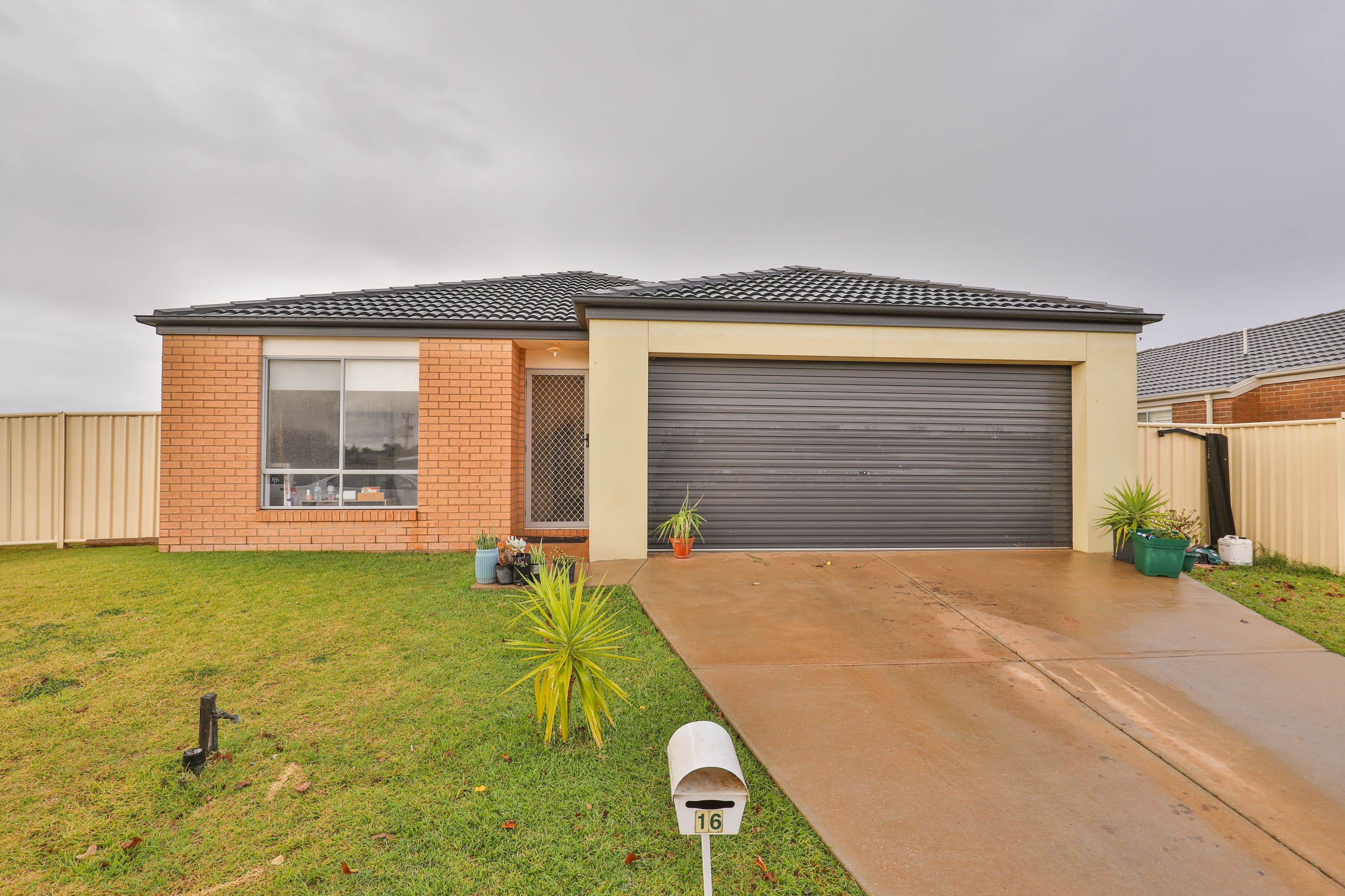 16 Immacolata Rise, Red Cliffs VIC 3496, Red Cliffs - Thumbnail 2