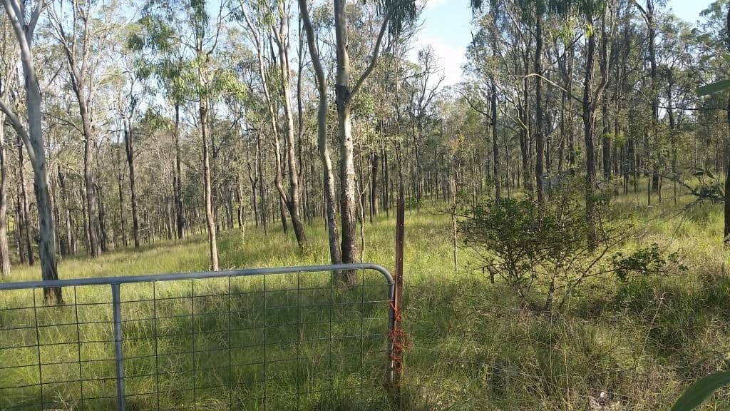 Lot 19 Brazier Road, Runnymede QLD 4615, Runnymede - Thumbnail 2
