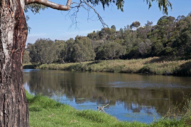 2 Ardlui Drive, NEWTOWN VIC 3220, Newtown - Image 1