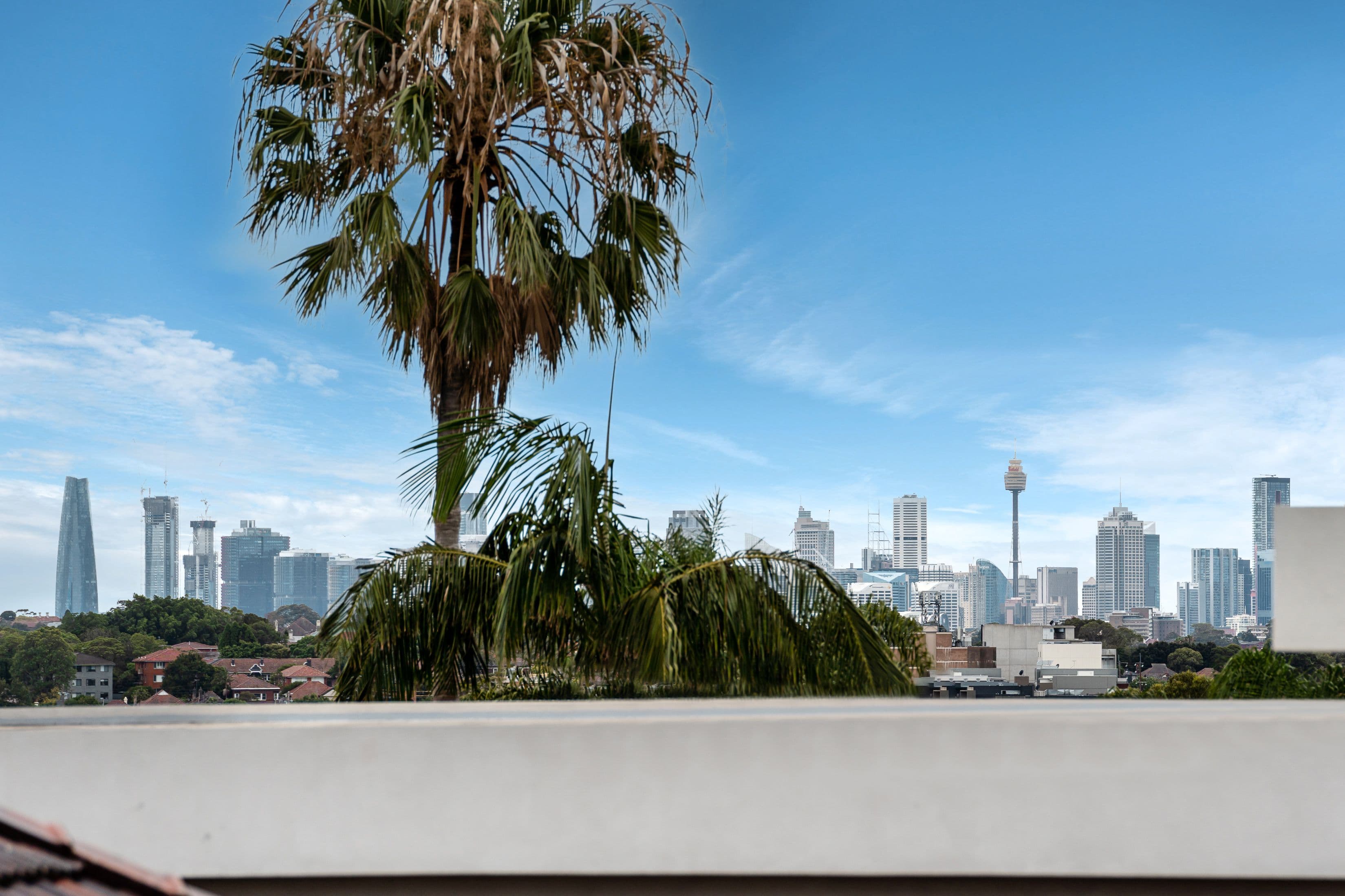 76 Prince Edward Avenue, Earlwood NSW 2206, Earlwood - Thumbnail 8