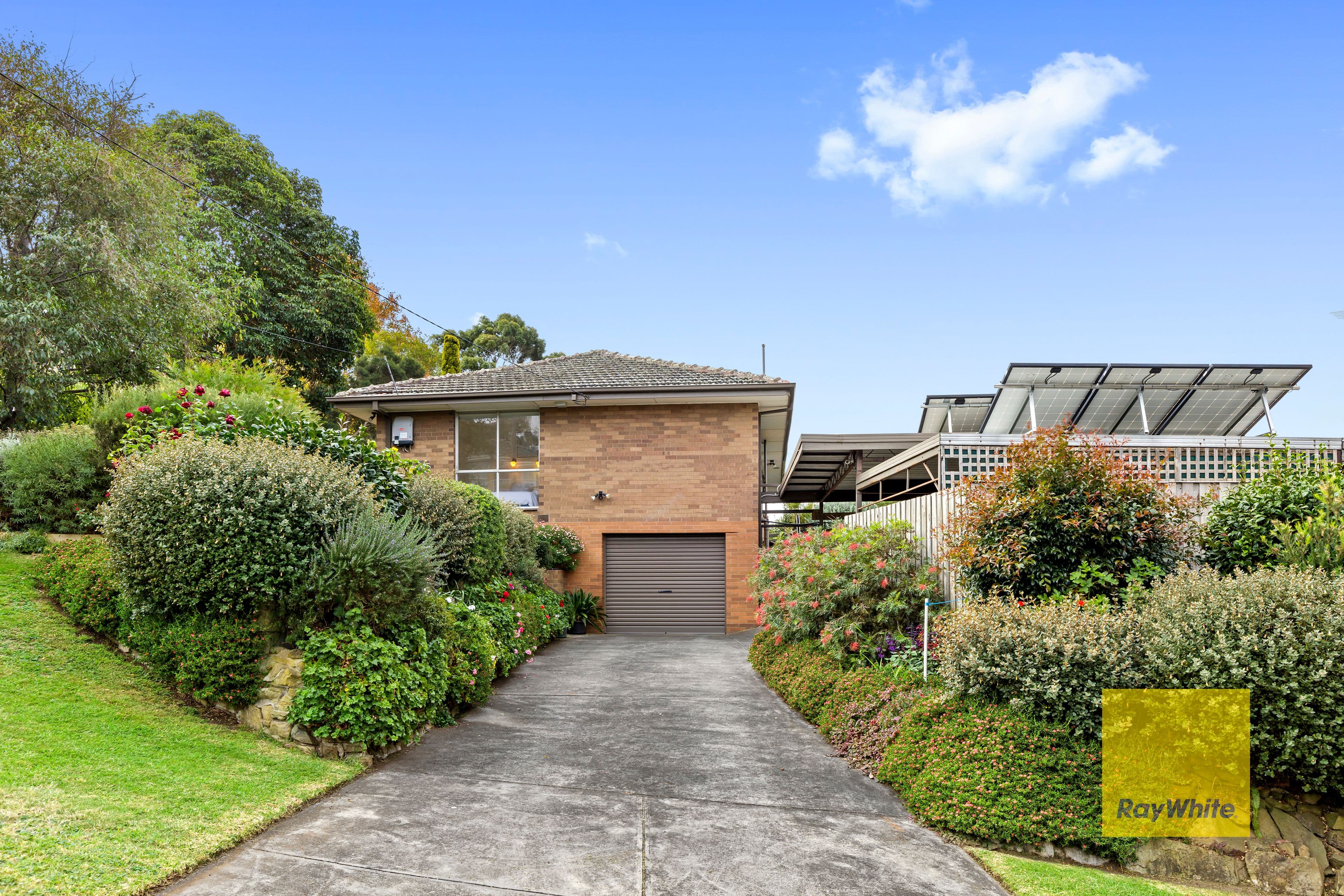7 Greyfern Court, Highton VIC 3216, Highton - Thumbnail 2