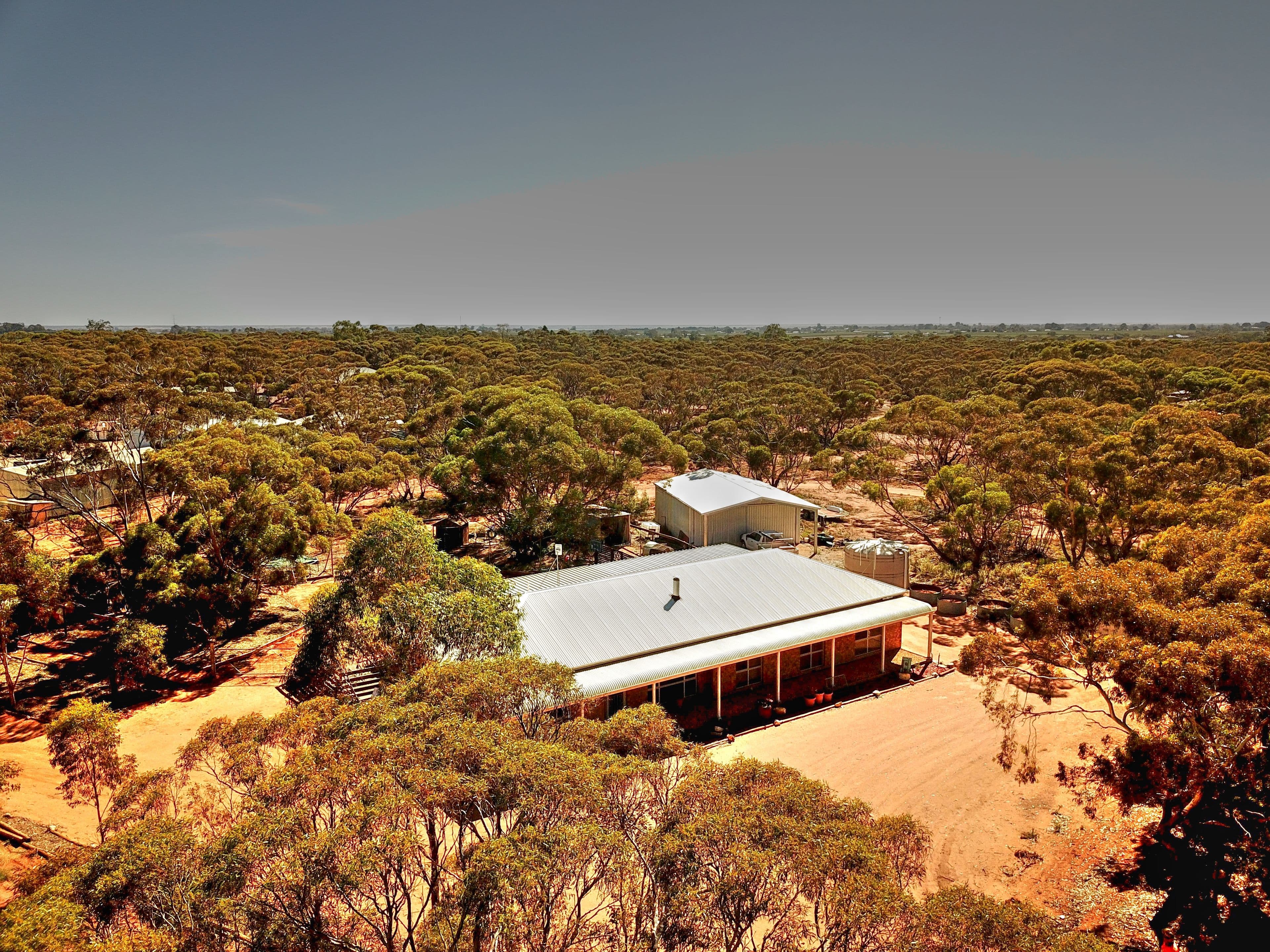 866 Thiele Road, Loveday SA 5345, Loveday - Thumbnail 2