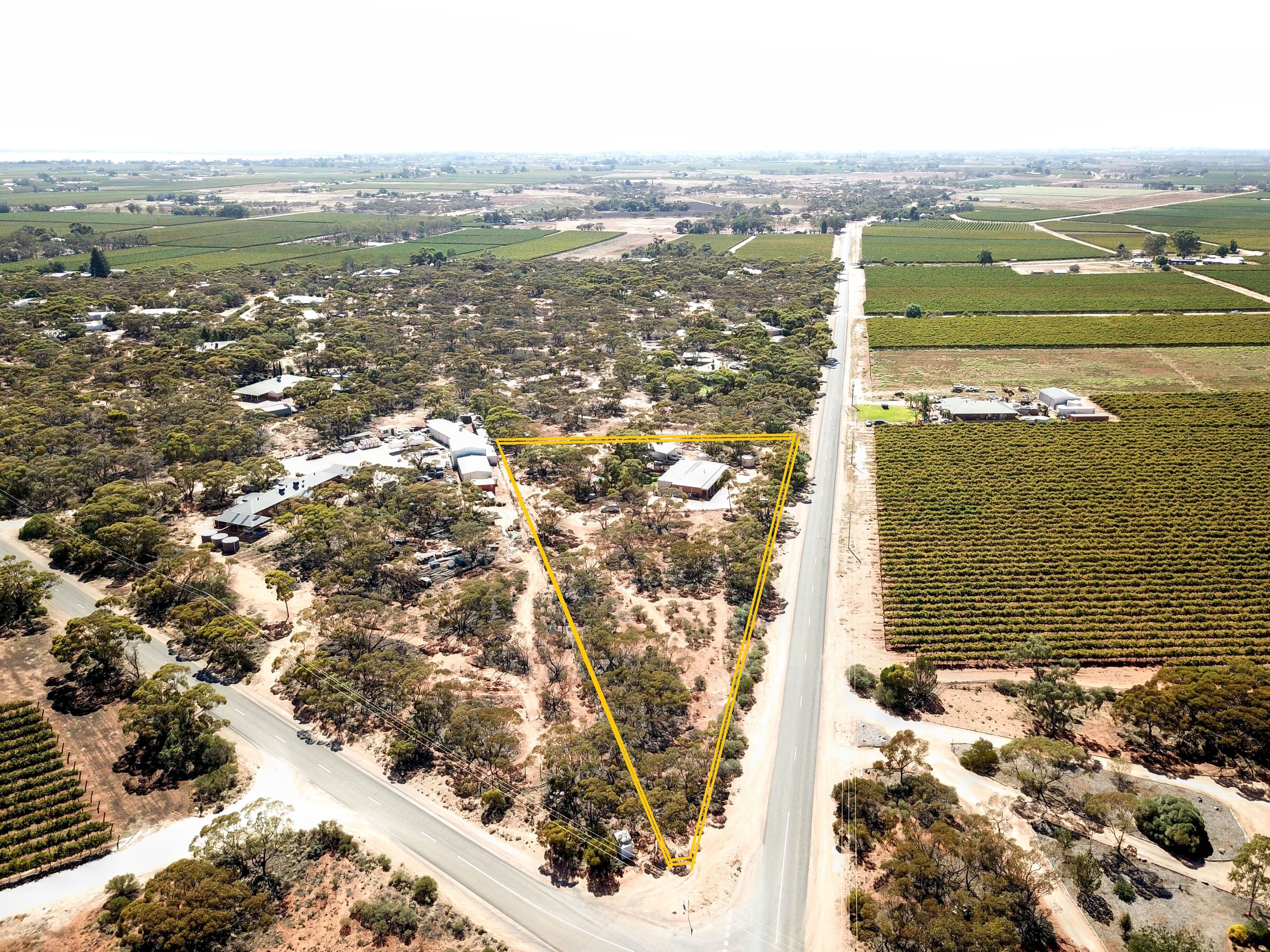 866 Thiele Road, Loveday SA 5345, Loveday - Thumbnail 3