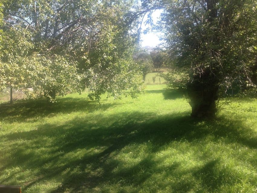 8 Old Hume Highway, BERRIMA NSW 2577, Berrima - Thumbnail 5
