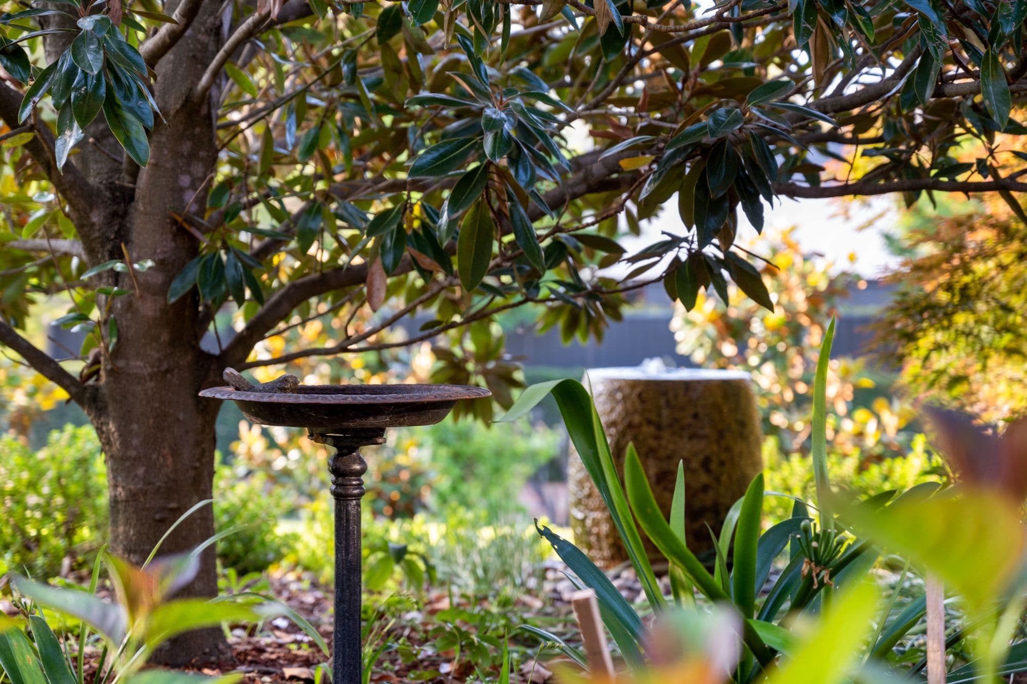 4 Daffodil Place, Glenmore Park NSW 2745, Glenmore Park - Thumbnail 7
