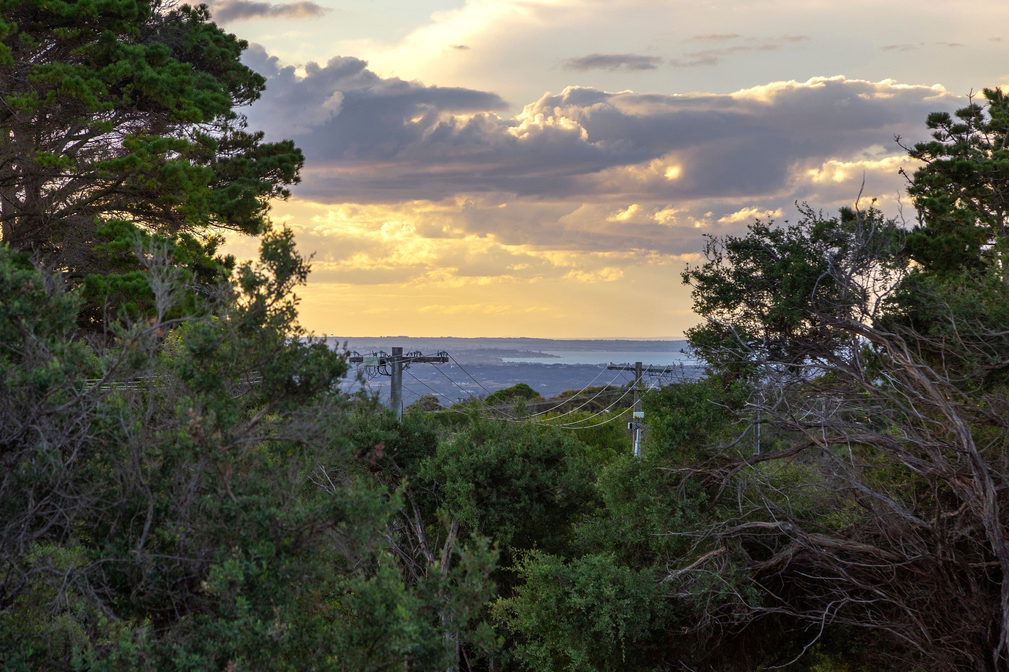 25 Bass Vista Boulevard, Cape Schanck VIC 3939, Cape Schanck - Thumbnail 5