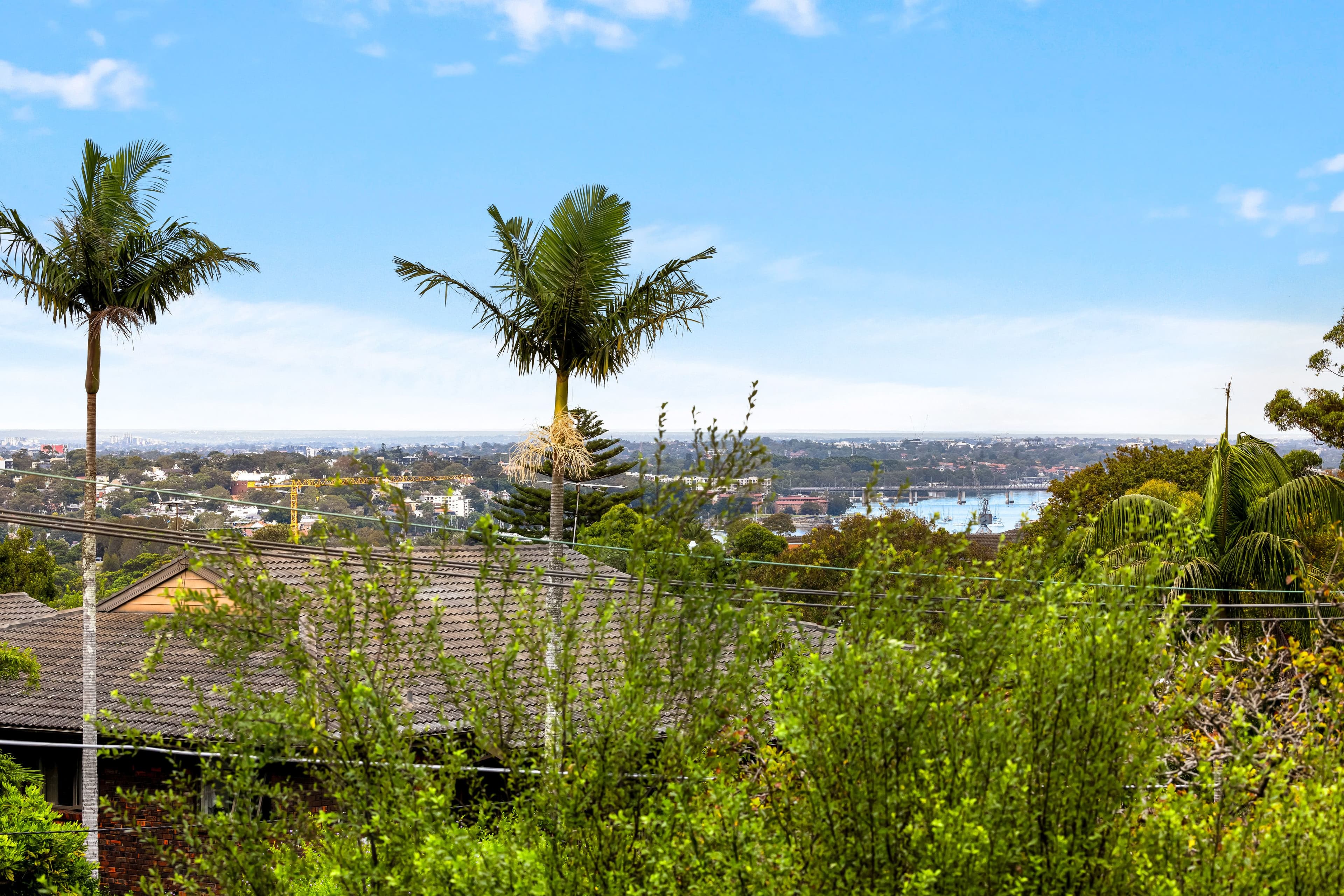 66 Shirley Road, Wollstonecraft NSW 2065, Wollstonecraft - Thumbnail 5