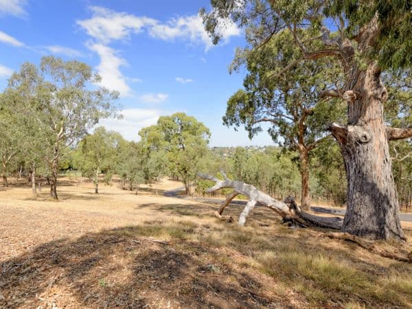63 Porter Street, TEMPLESTOWE VIC 3106, Templestowe - Thumbnail 7