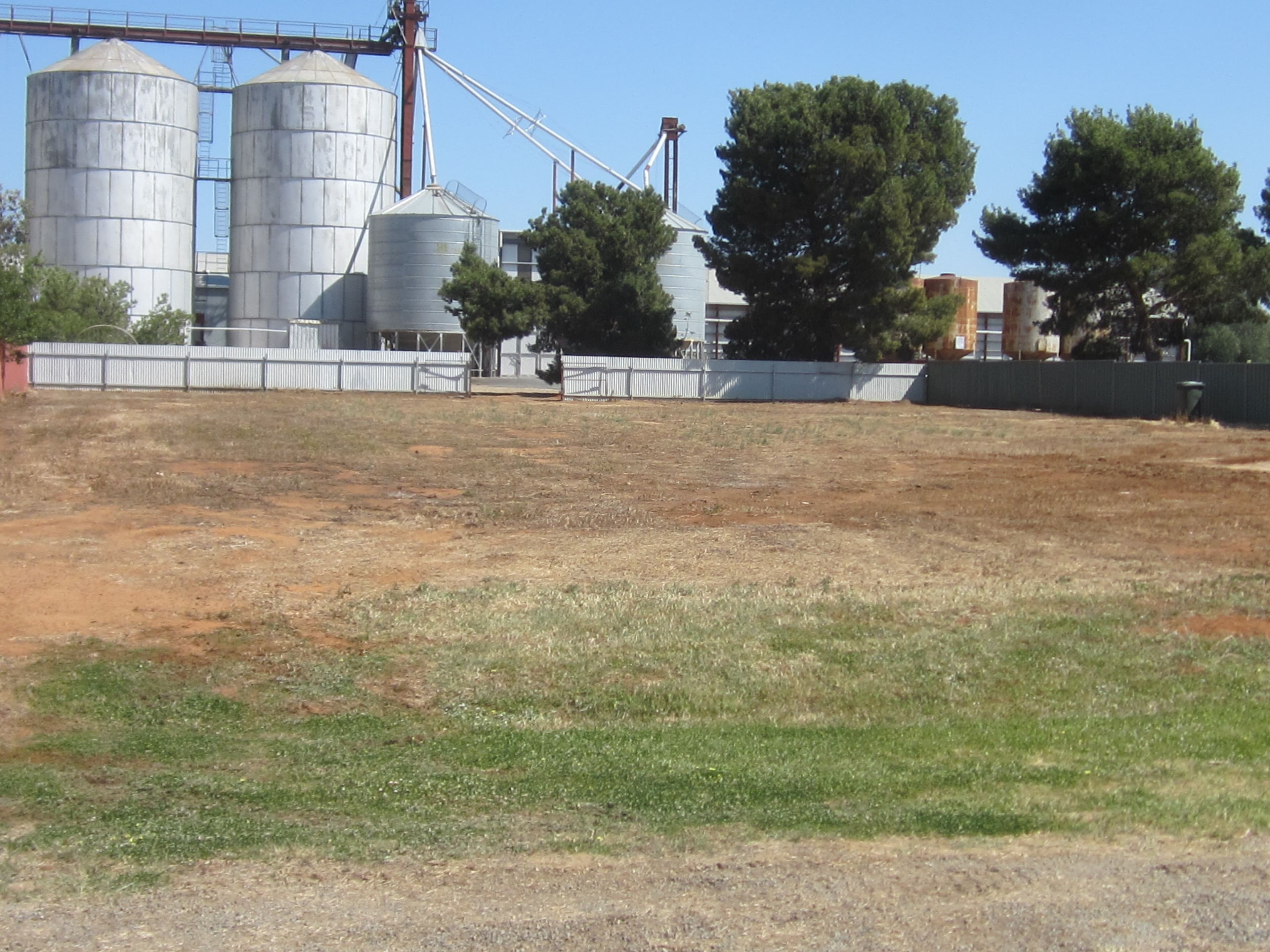 41 Lime Street, Marrar NSW 2652, Marrar - Thumbnail 6