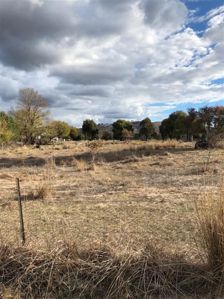 29 Killimicat Street, Brungle NSW 2722, Brungle - Thumbnail 2