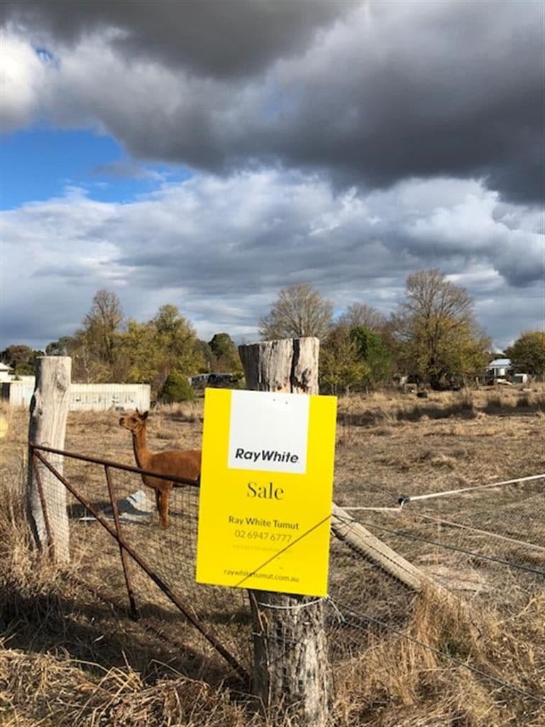 29 Killimicat Street, Brungle NSW 2722, Brungle - Thumbnail 3