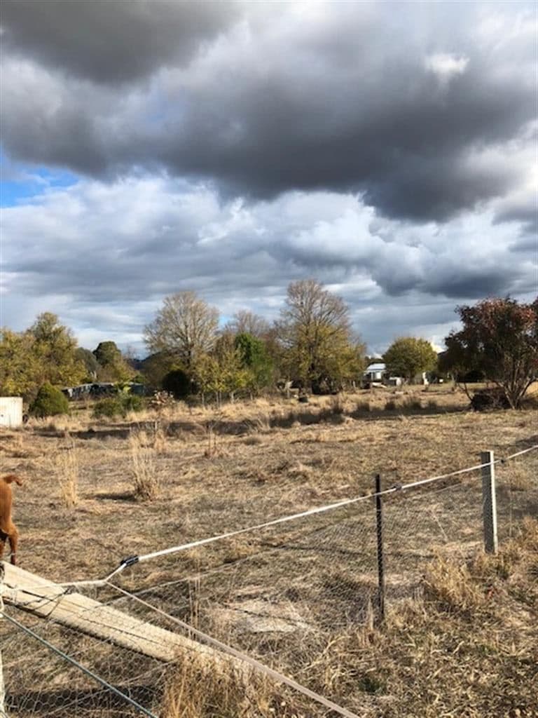 29 Killimicat Street, Brungle NSW 2722, Brungle - Thumbnail 4