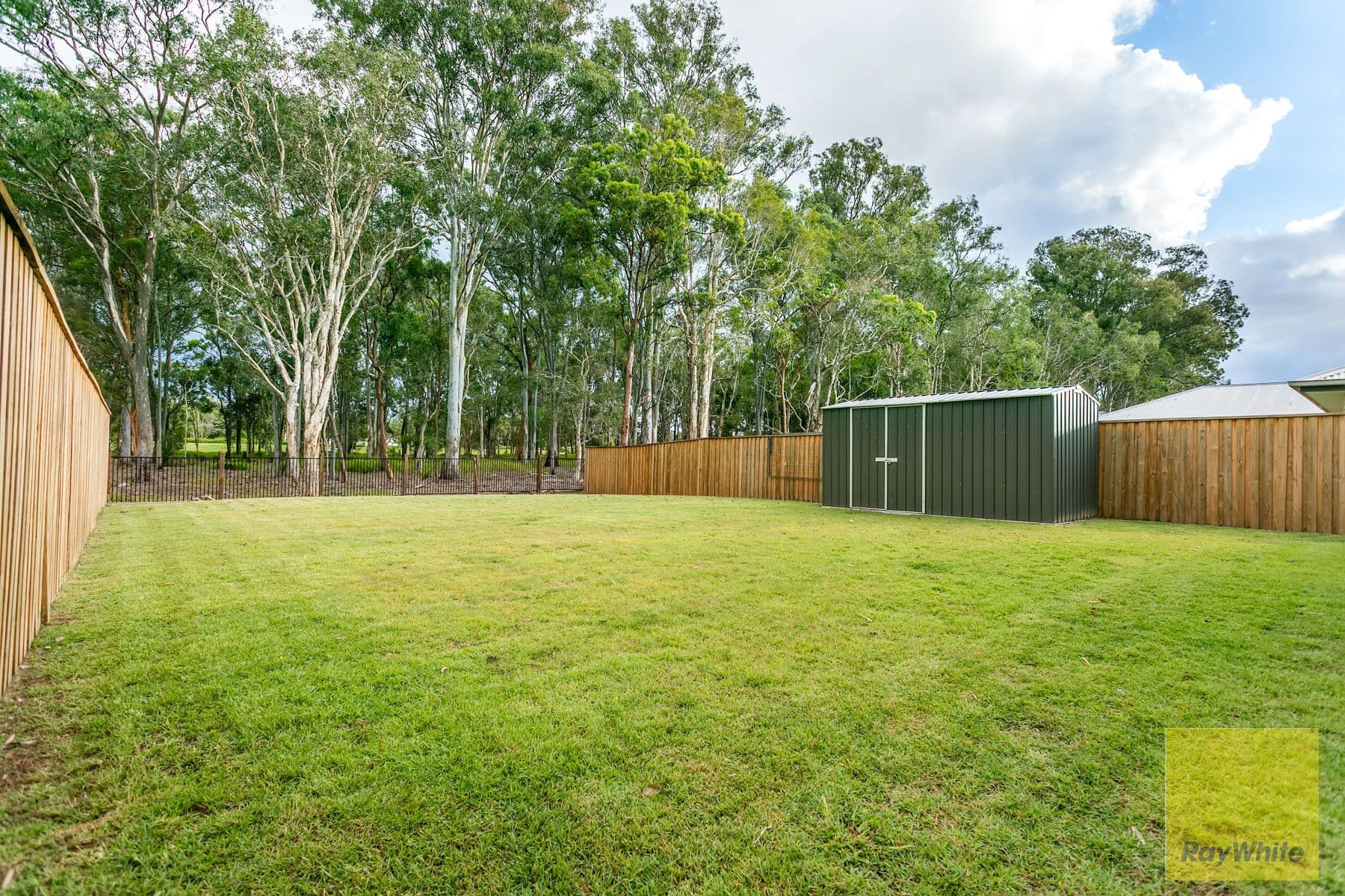 19 Coen Street, Thornlands QLD 4164, Thornlands - Thumbnail 2