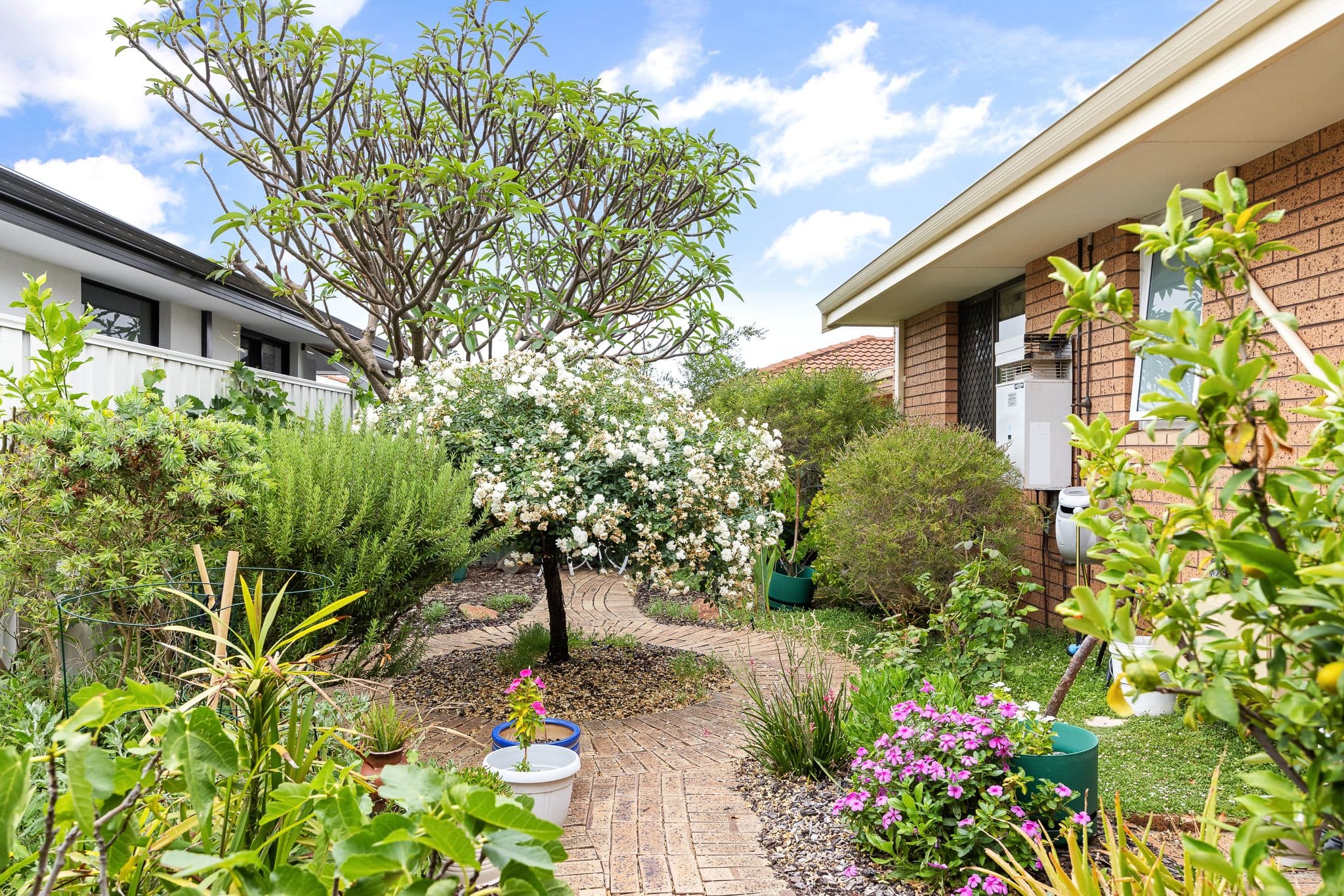 231 Armadale Road, Kewdale WA 6105, Kewdale - Thumbnail 2