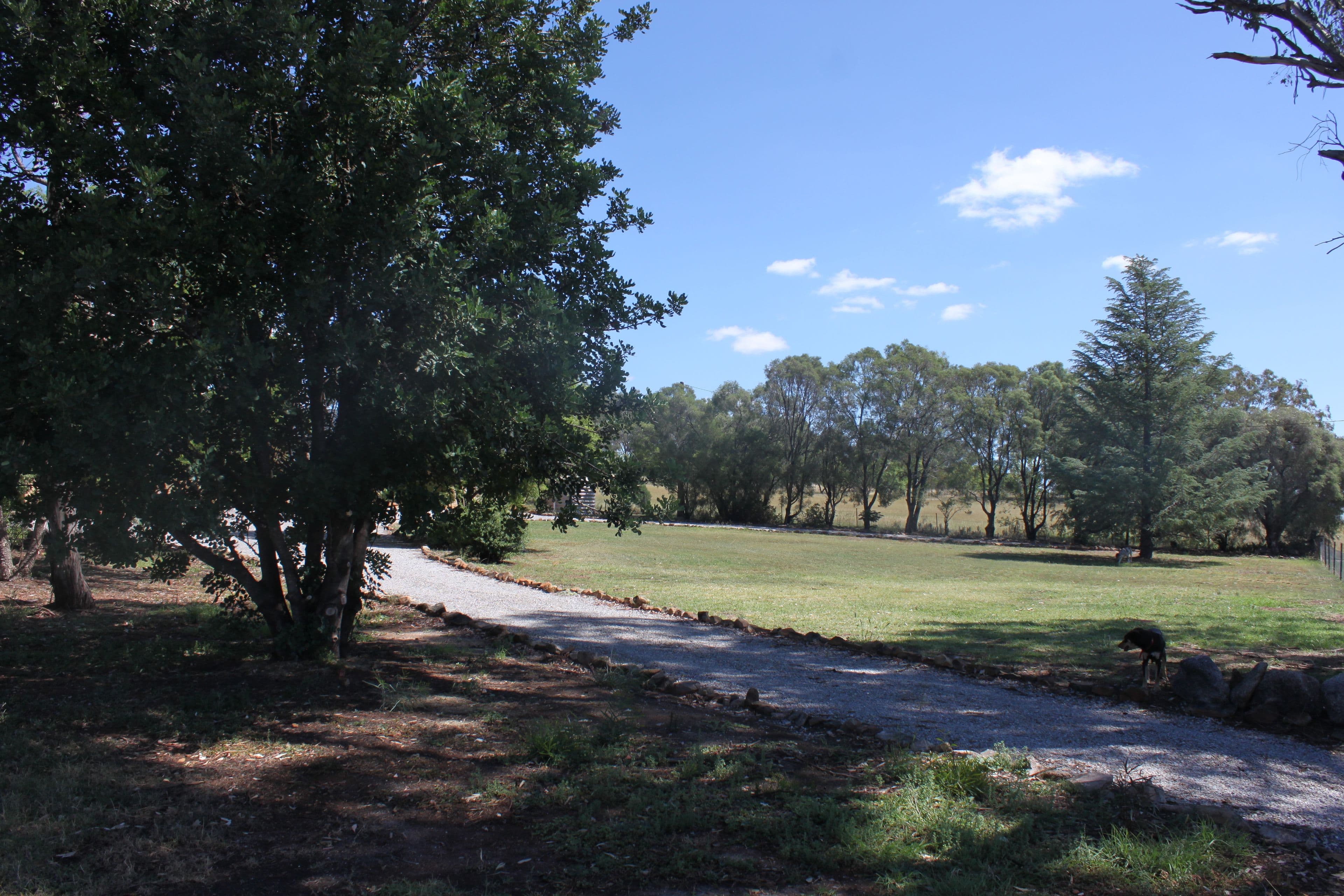 109 Browns Lane, Tamworth NSW 2340, Tamworth - Thumbnail 7