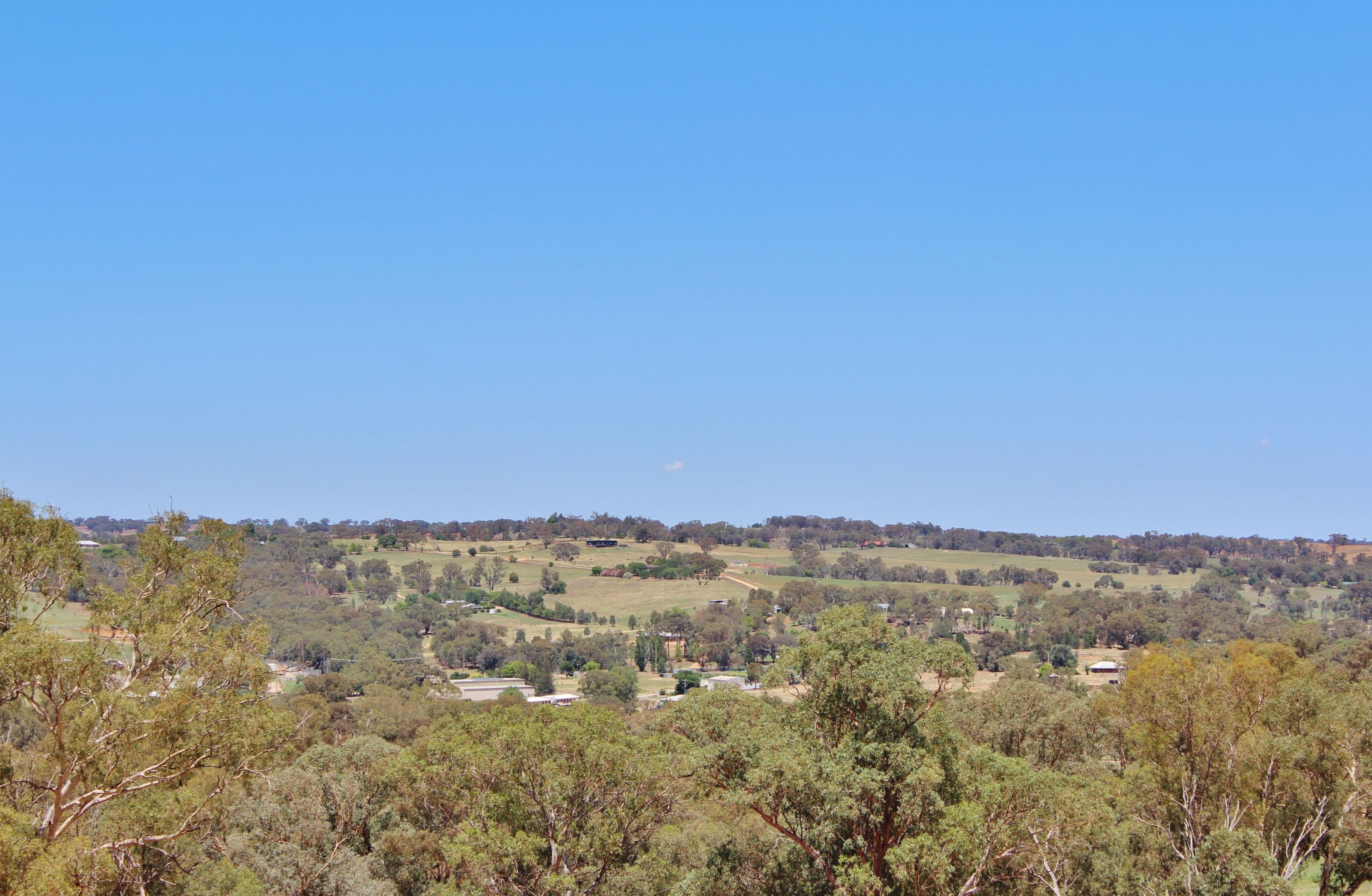 130 Allandale Road, Young NSW 2594, Young - Thumbnail 4