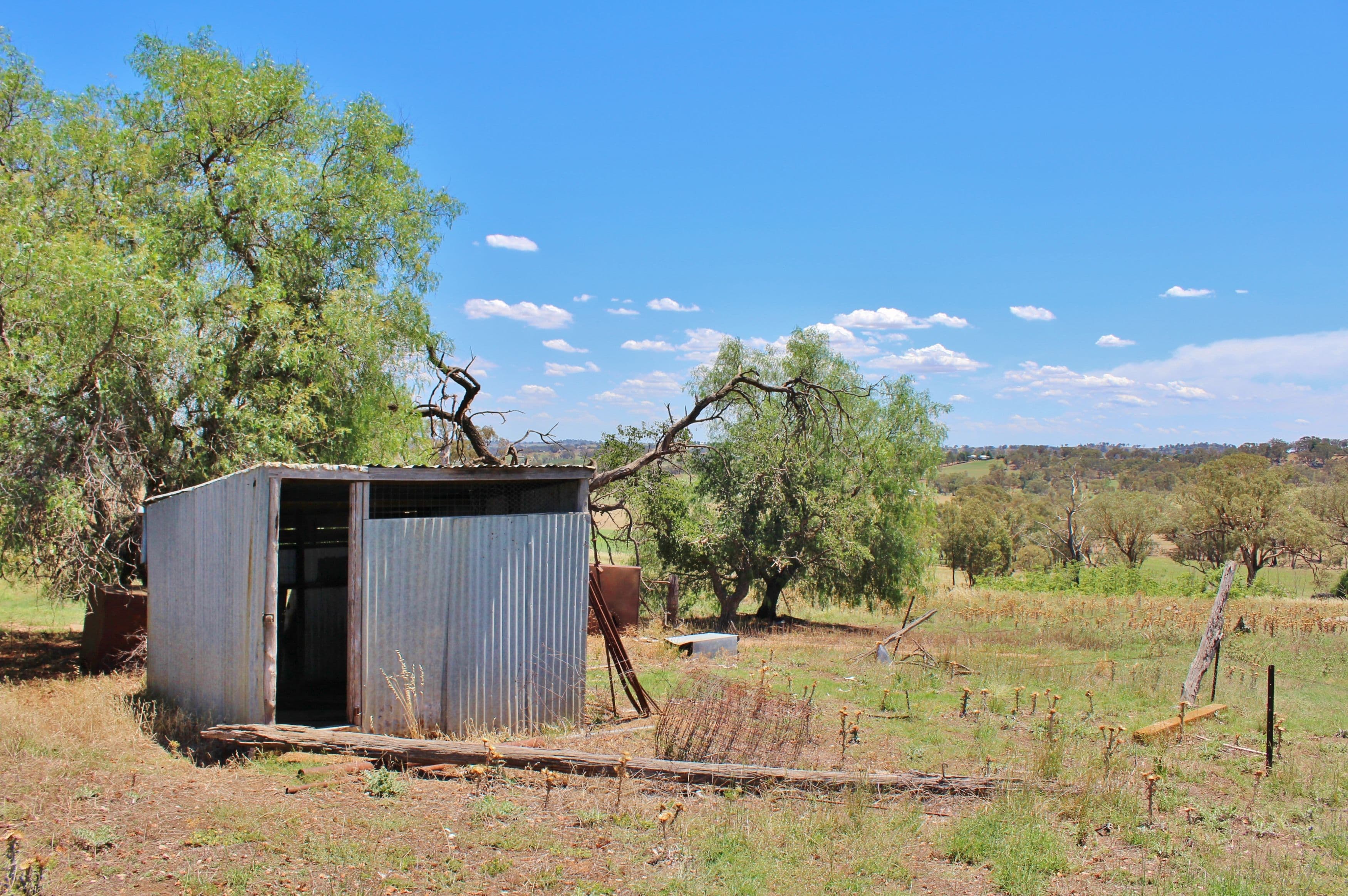 130 Allandale Road, Young NSW 2594, Young - Thumbnail 6