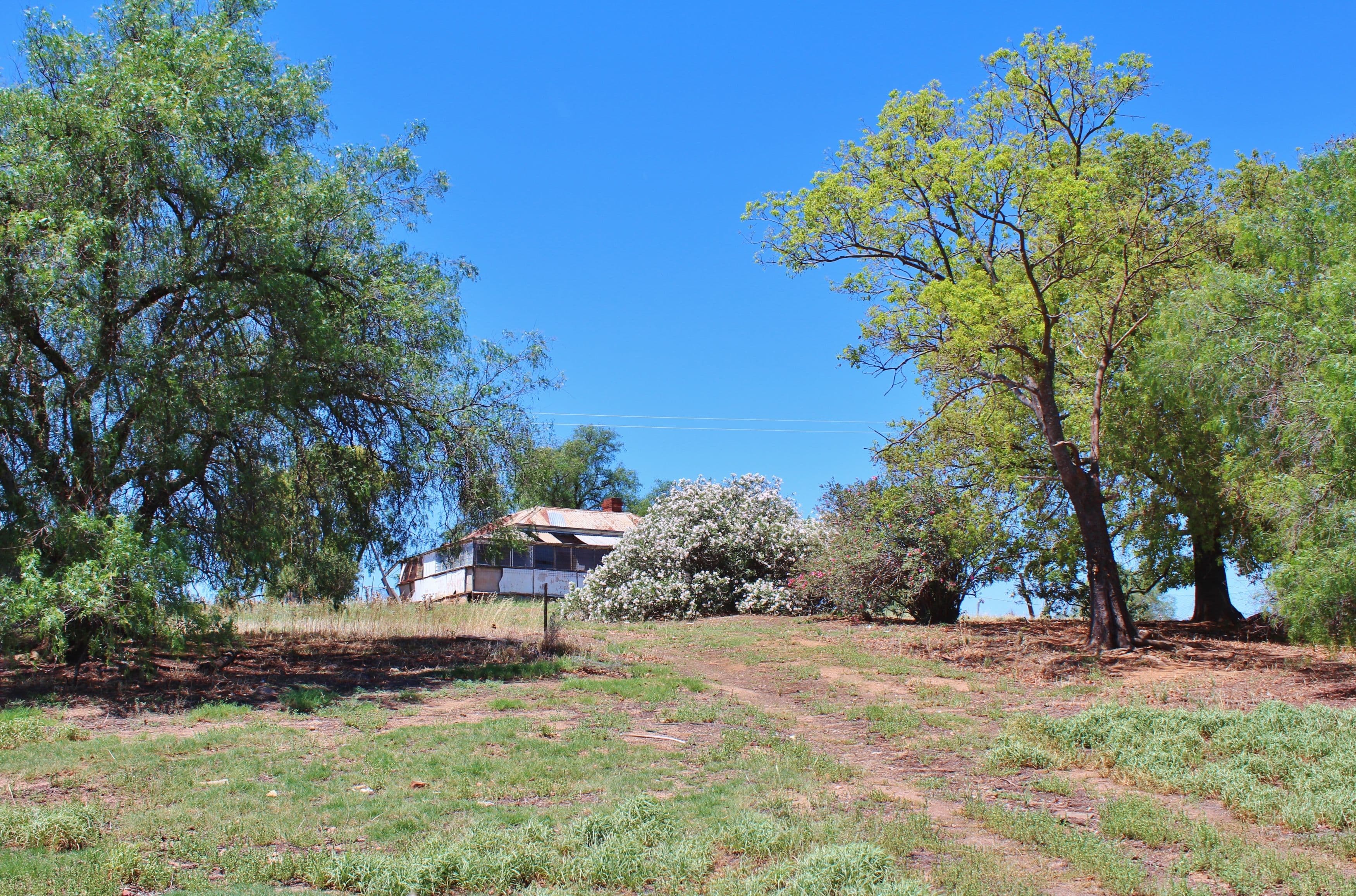 130 Allandale Road, Young NSW 2594, Young - Thumbnail 7