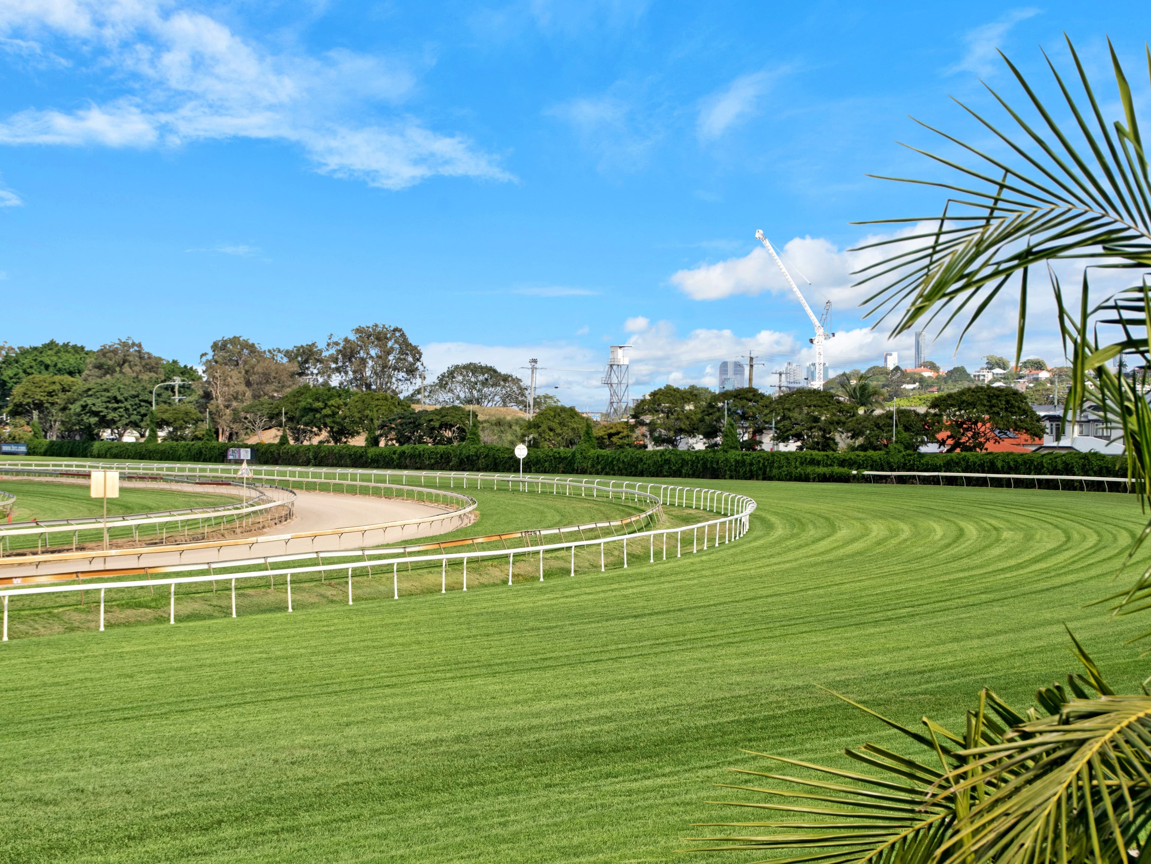 21 Raceview Avenue, Hendra QLD 4011, Hendra - Thumbnail 3
