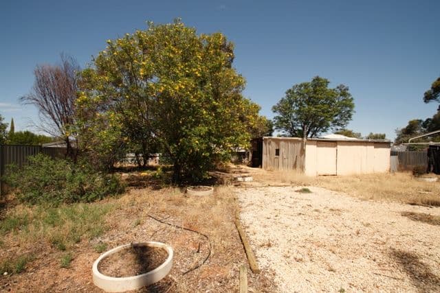50 Tobruk Terrace, LOXTON SA 5333, Loxton - Thumbnail 2