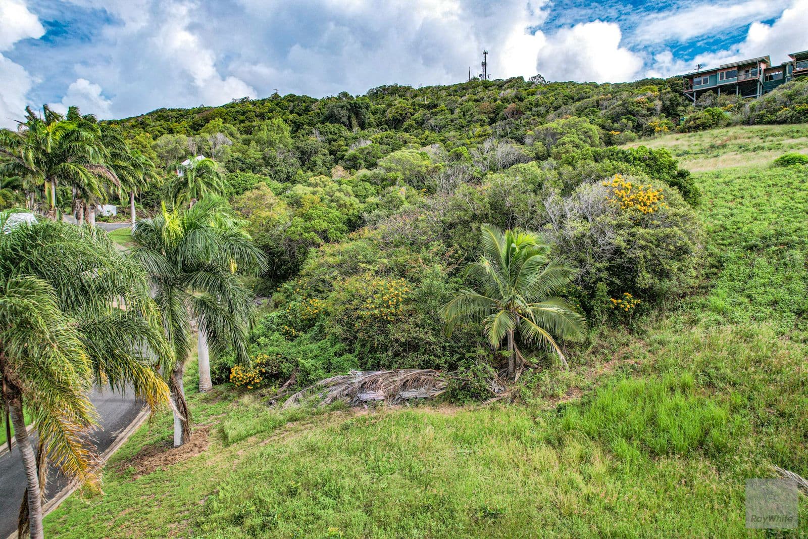 4 Clearview Lane, Meikleville Hill QLD 4703, Meikleville Hill - Thumbnail 6