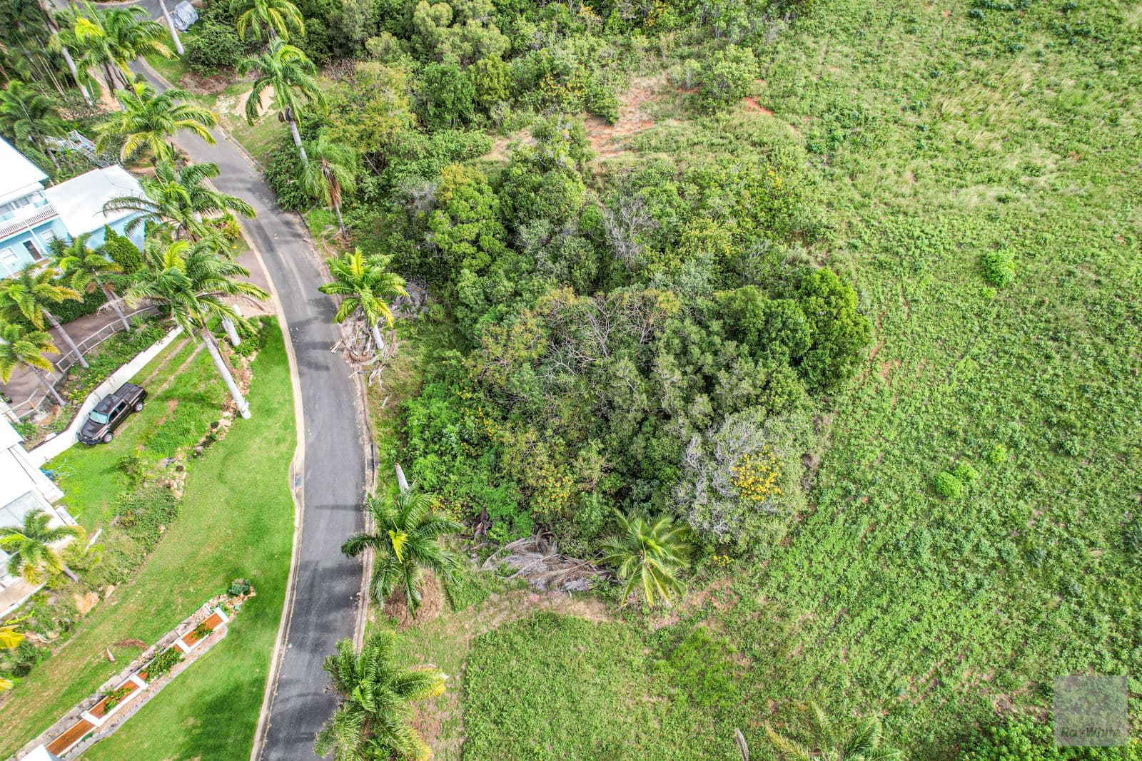 4 Clearview Lane, Meikleville Hill QLD 4703, Meikleville Hill - Thumbnail 7