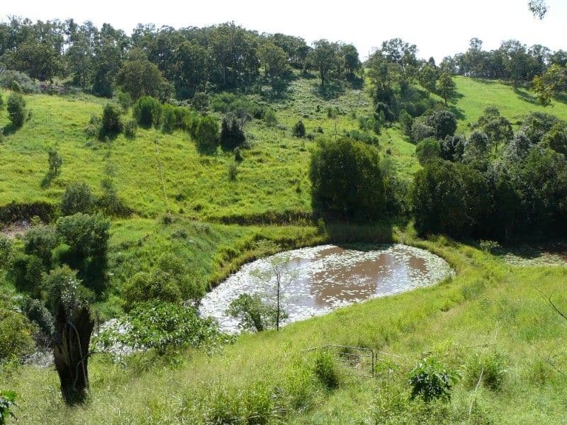 148 Fairview Drive, WILLOW VALE QLD 4209, Willow Vale - Image 1