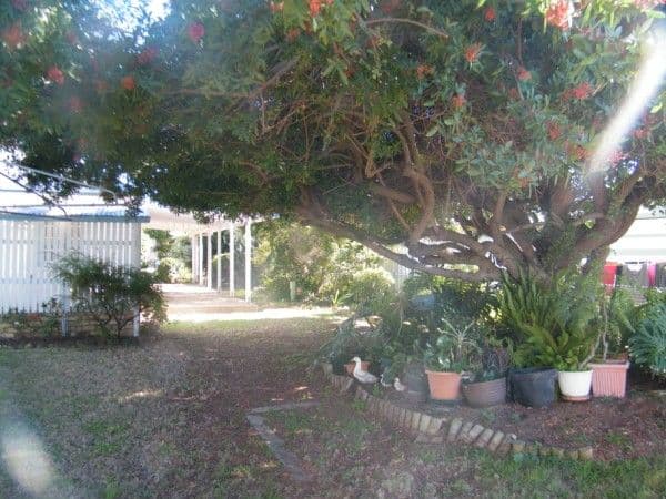 19 Windmill Road, CHINCHILLA QLD 4413, Chinchilla - Thumbnail 4