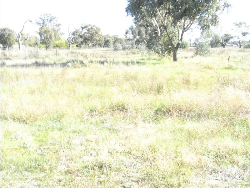 181 - 195 Pell Street, HOWLONG NSW 2643, Howlong - Thumbnail 2