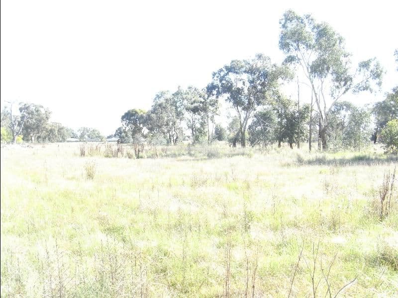 181 - 195 Pell Street, HOWLONG NSW 2643, Howlong - Thumbnail 3