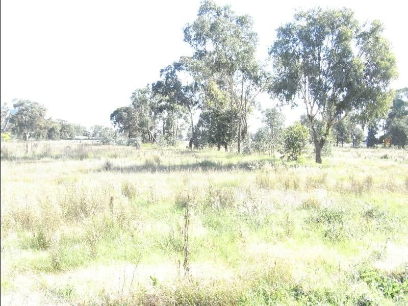 181 - 195 Pell Street, HOWLONG NSW 2643, Howlong - Thumbnail 4