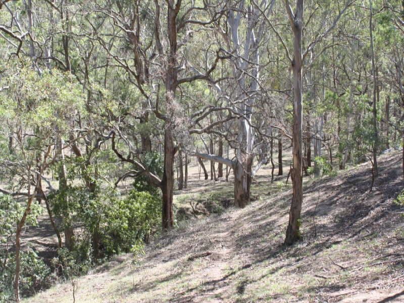 Naughton's Close Araluen, BRAIDWOOD NSW 2622, Braidwood - Thumbnail 2