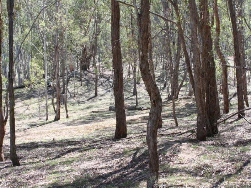 Naughton's Close Araluen, BRAIDWOOD NSW 2622, Braidwood - Thumbnail 3