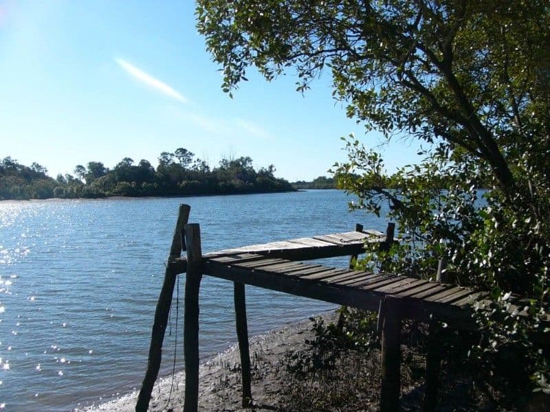 1749 Moorlands Road, BUNDABERG QLD 4670, Bundaberg Central - Thumbnail 4